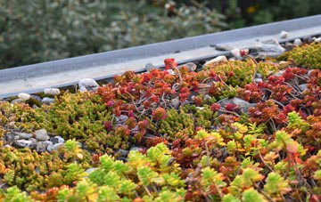 the cost of St Veep green roof installation