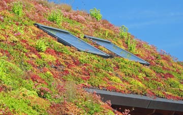 St Veep living roof systems